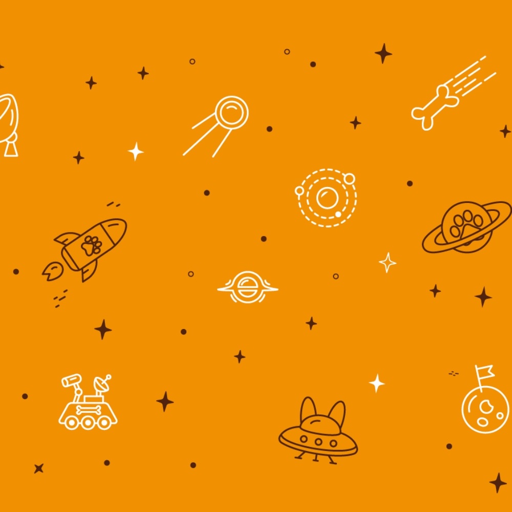 Milky Way Dogs - Dog bandanas